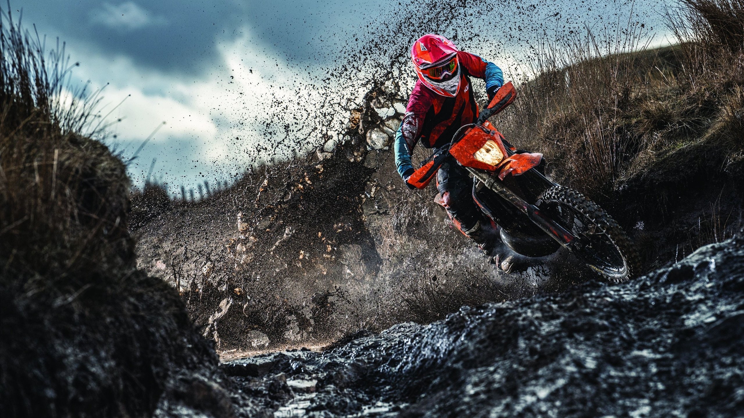 星空体育app-小杨遭遇成长困境，这三位全明星也曾经历，小杨遭遇成长困境,这三位全明星也曾经历过